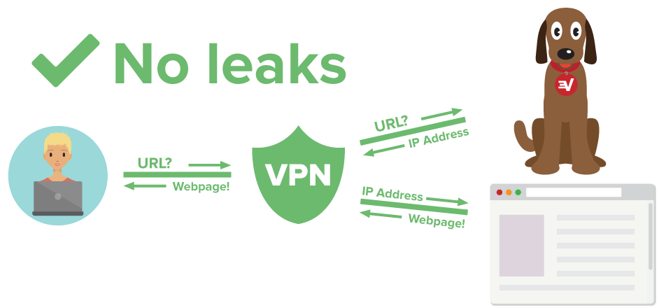 Diagram showing VPN user protected from DNS leaks