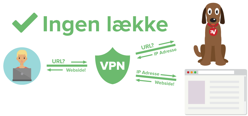 Diagram der viser VPN bruger beskyttet fra DNS lække