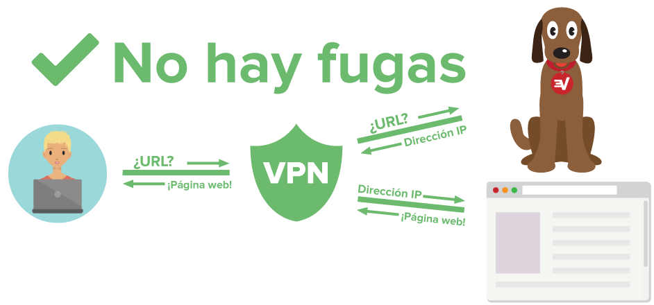 Diagrama que muestra a un usuario de VPN protegido contra fugas de DNS.