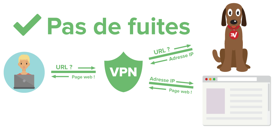 Diagramme montrant l'utilisateur de VPN protégé des fuites de DNS