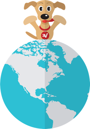 ExpressVPN kör sin egen DNS på varje server.