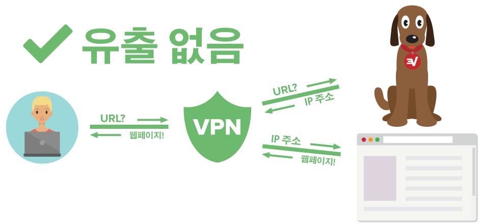 DNS 유출로부터 보호받는 VPN 사용자를 보여주는 도표