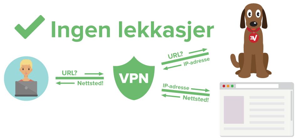 Diagram som viser VPN-bruker beskyttet mot DNS-lekkasje