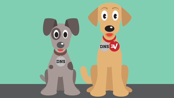 ความรู้ DNS เป็นศูนย์