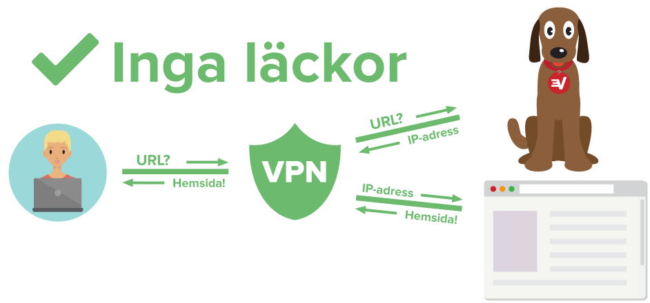 Ett diagram som visar en VPN-användare som skyddas från DNS-läckage